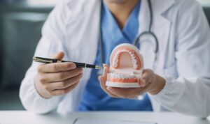 A person in a white coat holds a dental model of teeth, pointing to it with a pen to explain dental anatomy or oral health; a stethoscope hangs around their neck.