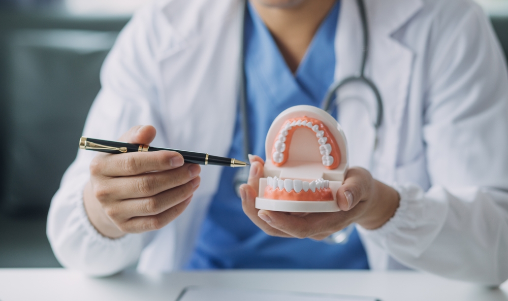 A person in a white coat holds a dental model of teeth, pointing to it with a pen to explain dental anatomy or oral health; a stethoscope hangs around their neck.